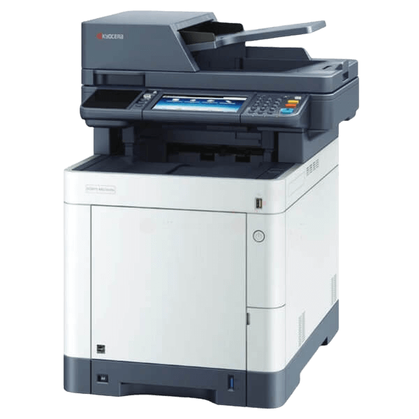 M 6230 / cidn / cidnt